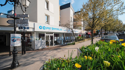 EI Immobilier à Palaiseau
