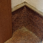 Photo n°7 de l'avis de Bernd.u fait le 19/10/2023 à 11:22 sur le  Hotel Lessinghof à Braunschweig