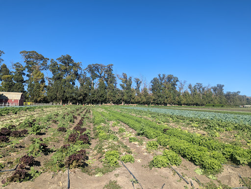 Produce Market «Underwood Family Farms», reviews and photos, 3370 Sunset Valley Rd, Moorpark, CA 93021, USA