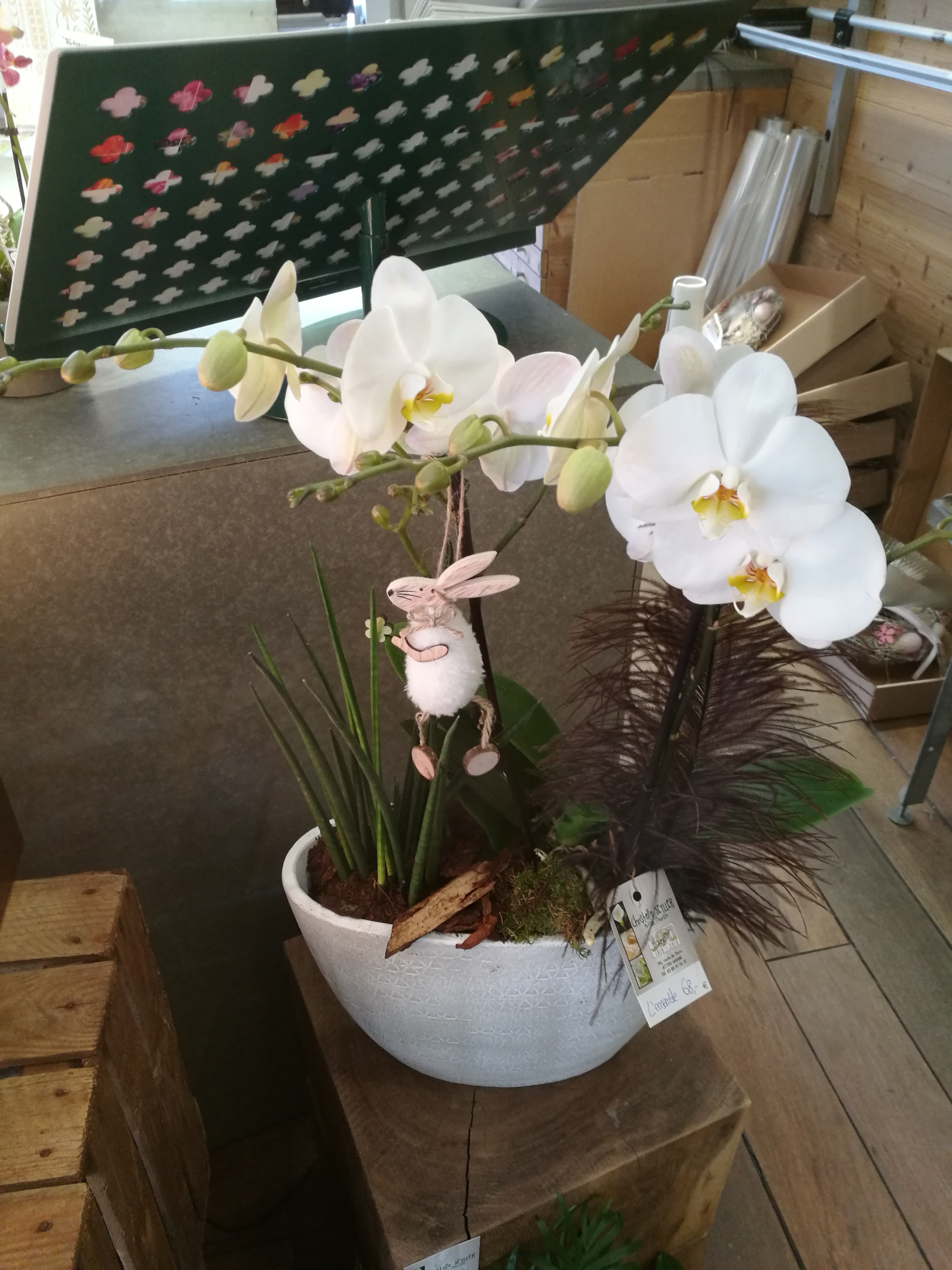 Photo n° 9 de l'avis de christophe.i fait le 11/04/2019 à 22:32
