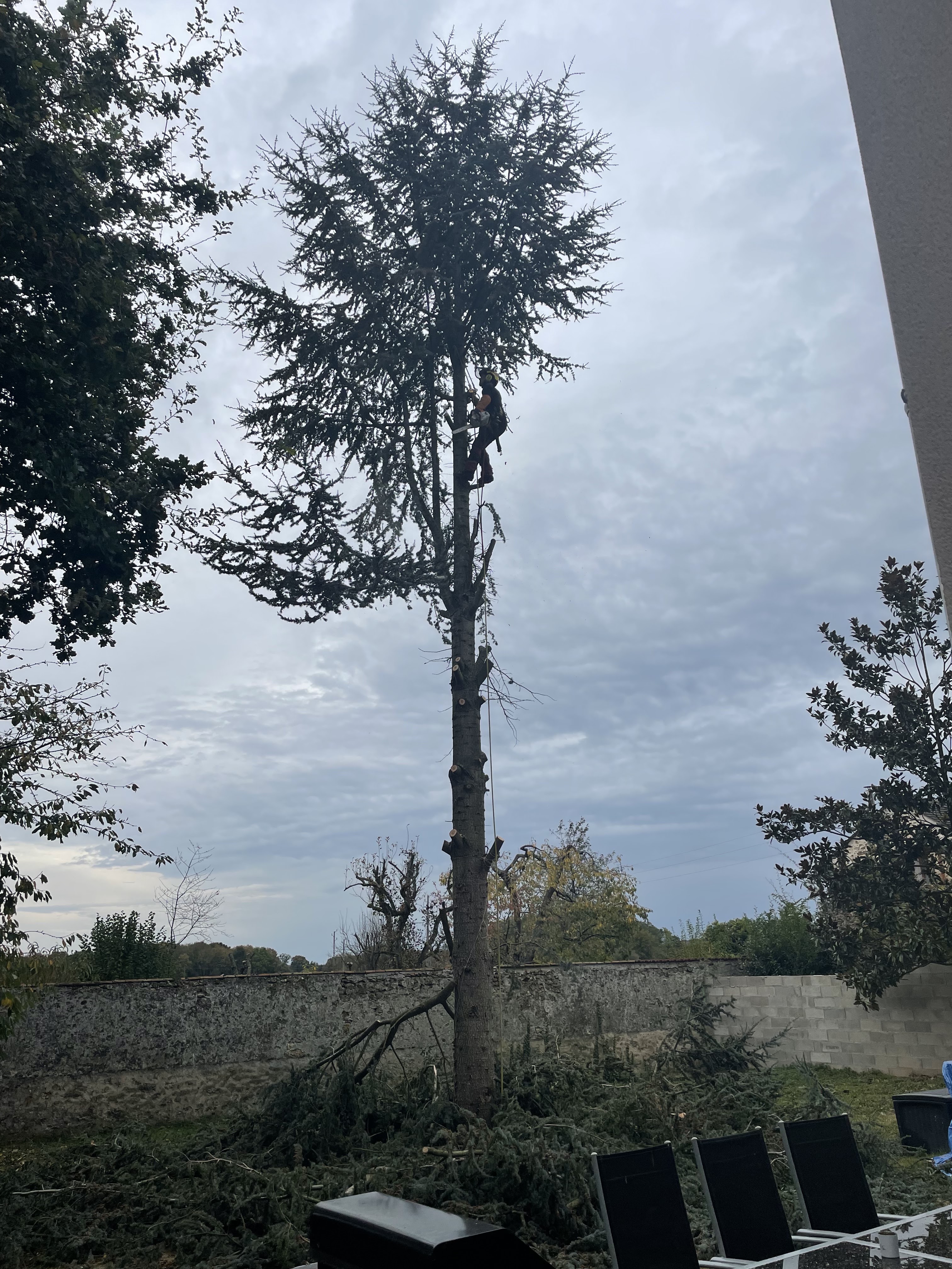 Photo n° 1 de l'avis de Gaetan.e fait le 29/10/2021 à 10:37