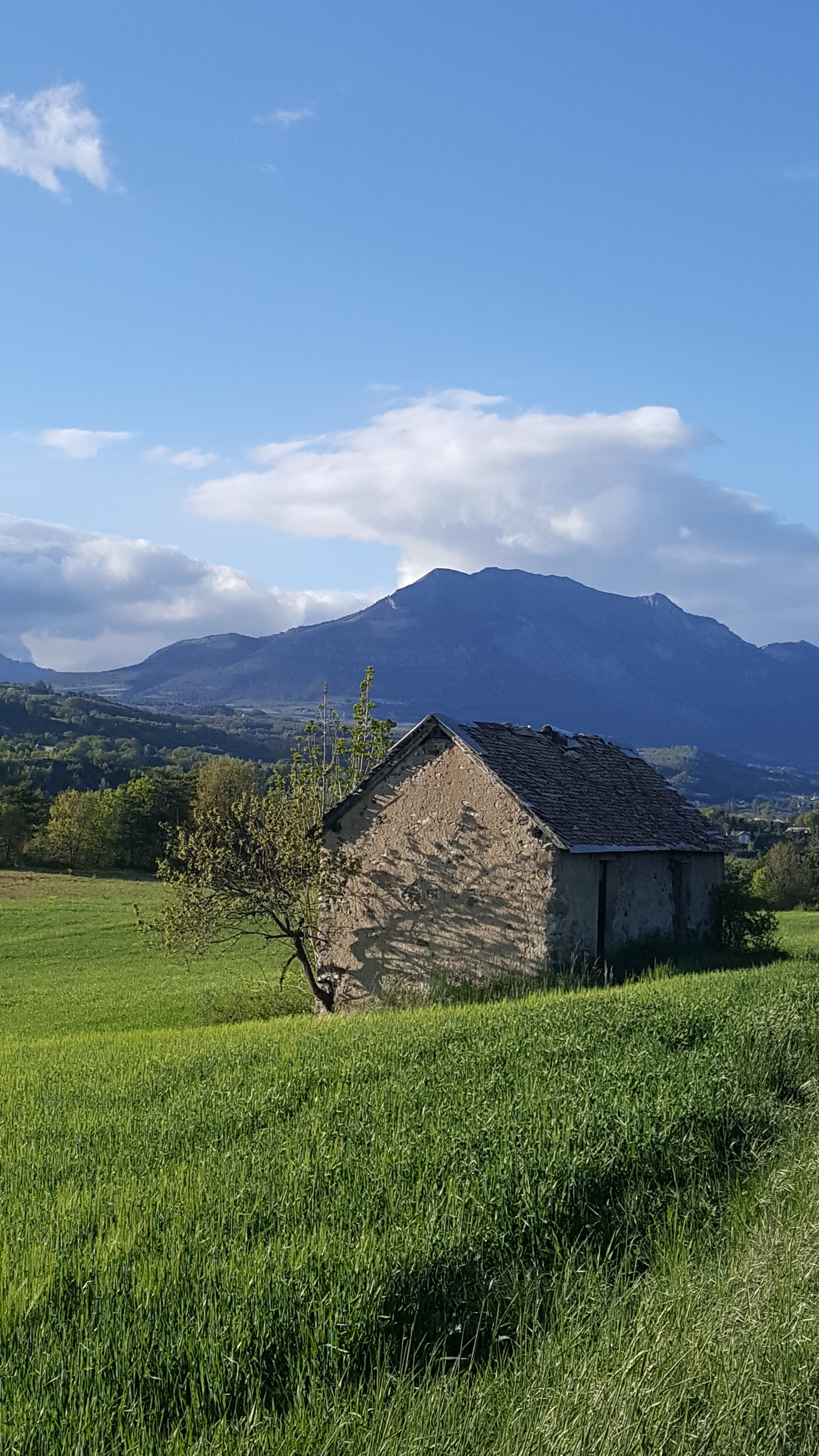 Photo n° 1 de l'avis de Corinne.e fait le 31/05/2019 à 08:45