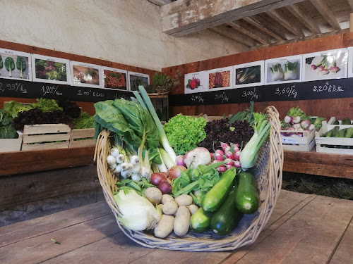 Épicerie Jardins Bio des Pays de l'Ain Villars-les-Dombes