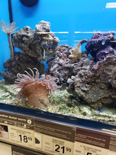 Pet Supply Store «Petco Animal Supplies», reviews and photos, 860 Broadway, New York, NY 10003, USA