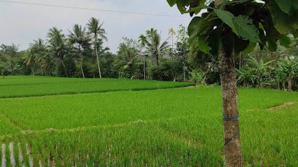 Desa Wisata Kampung Raden