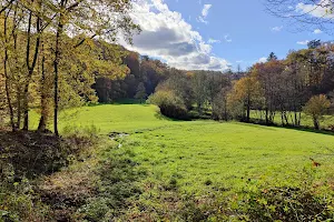 Naafbachtal Nature Reserve image