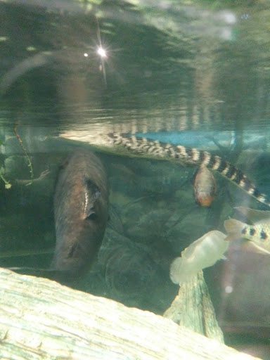 Aquarium «The River Center», reviews and photos, 805 US-1, Jupiter, FL 33477, USA