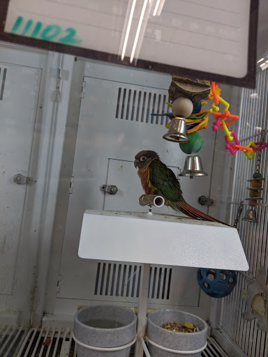 Pet Supply Store «Petco Animal Supplies», reviews and photos, 1215-1309 NJ-33 #1, Hamilton Township, NJ 08690, USA