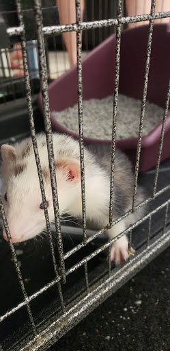 Pet Supply Store «Pet Supplies Plus», reviews and photos, 26230 Hoover Rd, Warren, MI 48089, USA