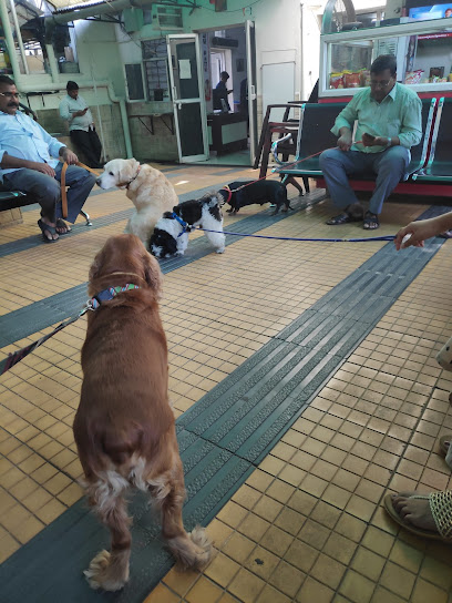 The Animal Care Clinic - Door No. 8, 2-414, Rd Number 4, near Mount Kailash  Appartments, Hyderabad, Telangana, IN - Zaubee