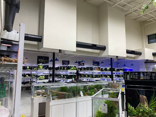 Tropical Fish Store «Fish Gallery», reviews and photos, 6955 Greenville Ave, Dallas, TX 75231, USA