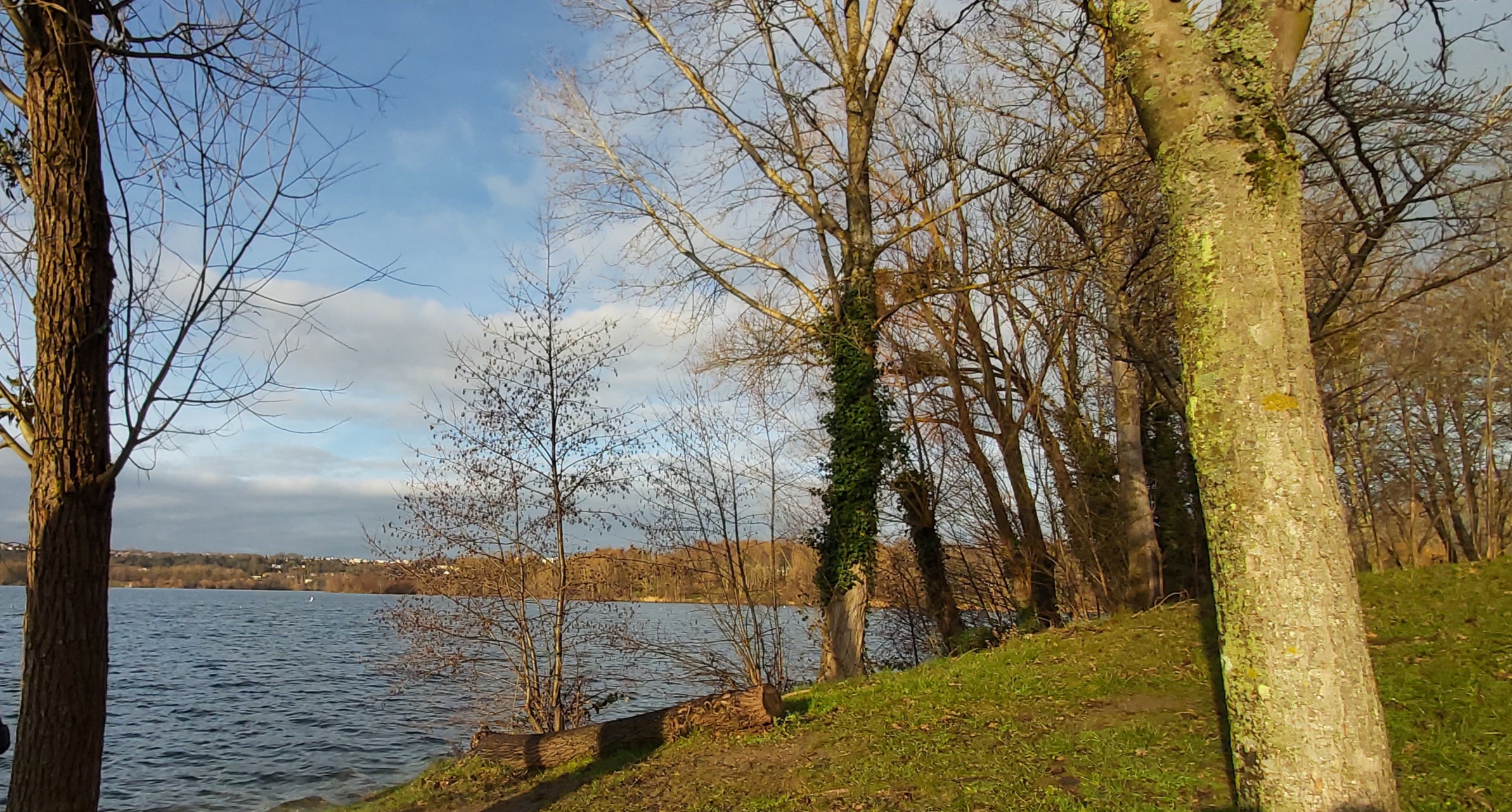 Photo n° 1 de l'avis de Marie-France.o fait le 17/01/2021 à 15:35