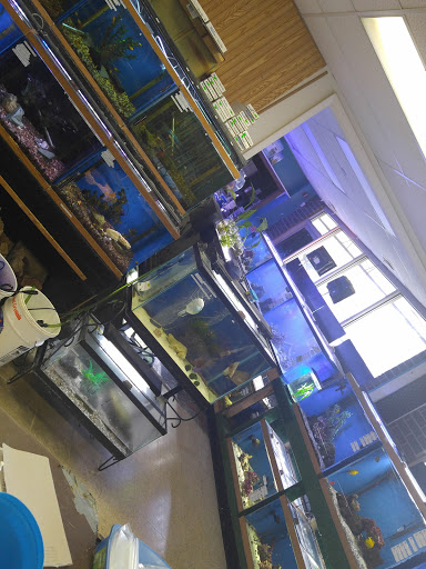 Pet Store «Birds & Beasts Pet Shop», reviews and photos, 35 Berkshire Dr # 18, Crystal Lake, IL 60014, USA