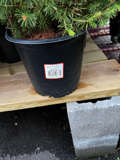 Home Improvement Store «The Home Depot», reviews and photos, 736 Route 202 South, Bridgewater, NJ 08807, USA