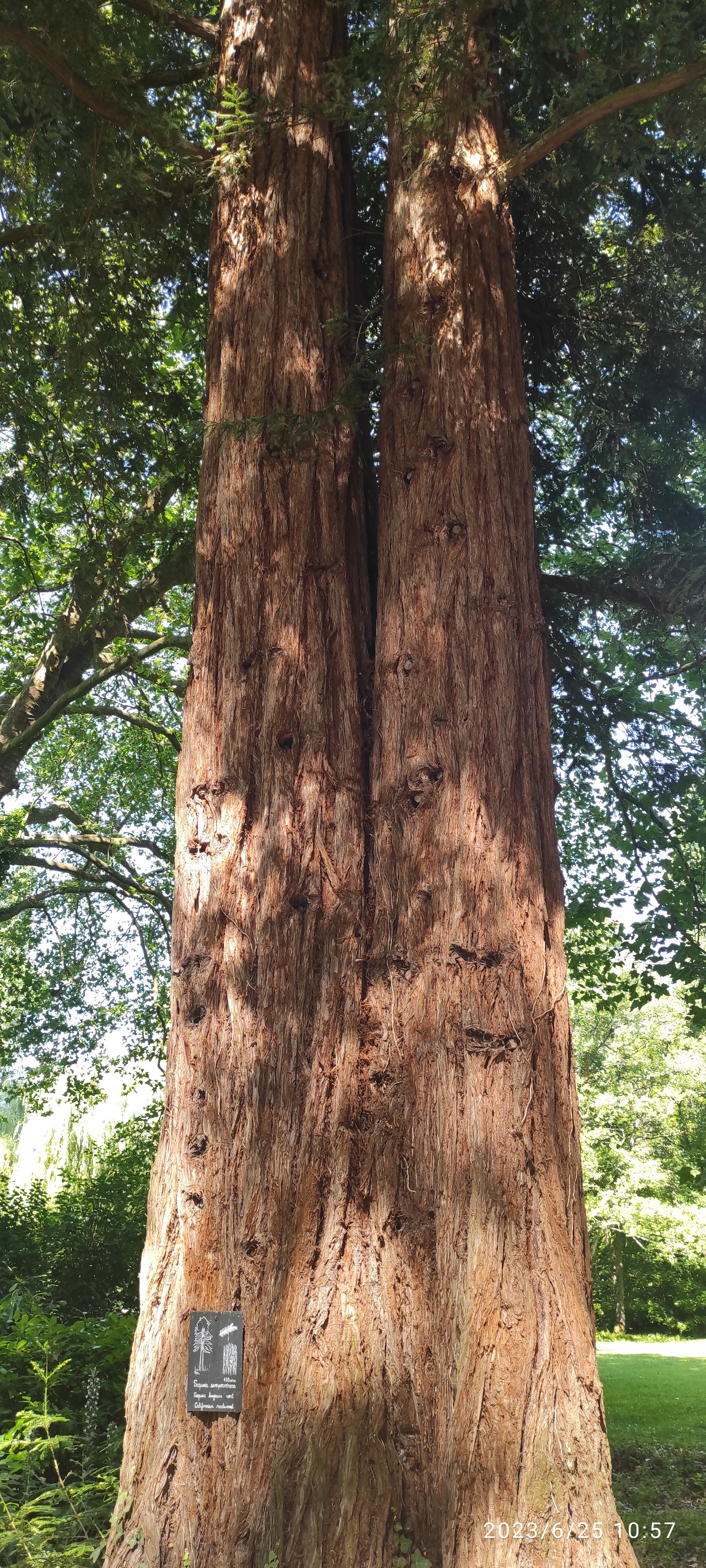 Photo n° 49 de l'avis de Helene.r fait le 25/06/2023 à 10:56