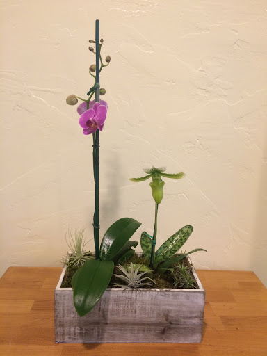 Florist «The Curly Willow», reviews and photos, 1868 12600 S, Riverton, UT 84065, USA