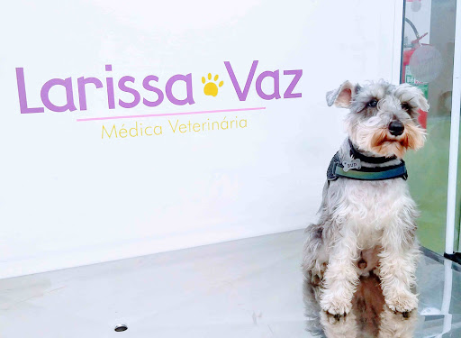 Larissa Vaz Médica Veterinária em São Paulo - SP