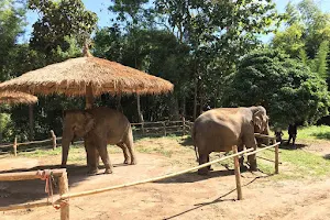 Maerim Elephant Home image