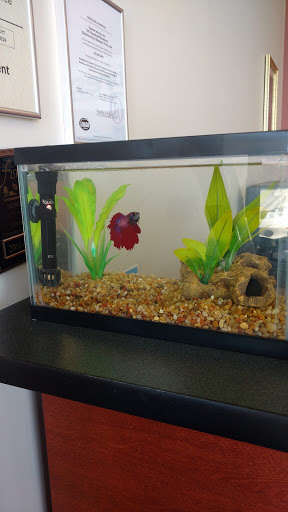 Employment Agency «Express Employment Professionals», reviews and photos, 7259 Fishers Landing Dr, Fishers, IN 46038, USA