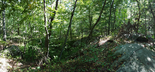 State Park «Wilson Mountain Reservation», reviews and photos, 384 Common St, Dedham, MA 02026, USA