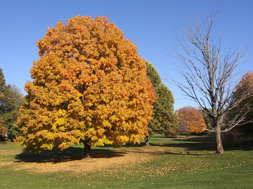 Golf Course «Forest Park Golf Course», reviews and photos, 1155 Sheffield Dr, Valparaiso, IN 46385, USA