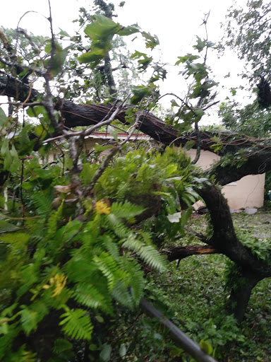 Park «Panama Park», reviews and photos, 6912 Buffalo Ave, Jacksonville, FL 32208, USA