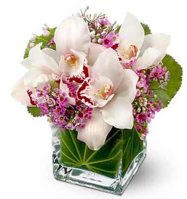 Florist «Posies of Wellesley», reviews and photos, 158 E Central St, Natick, MA 01760, USA