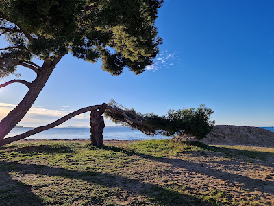 Les locations Cinaureva à La Londe-les-Maures
