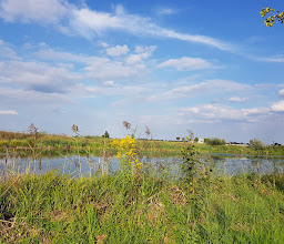 Sacker Schnepfensumpf photo
