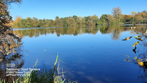 FKK-Strände in der Nähe Hannover