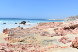 Nine Palms'in fotoğrafı - rahatlamayı sevenler arasında popüler bir yer