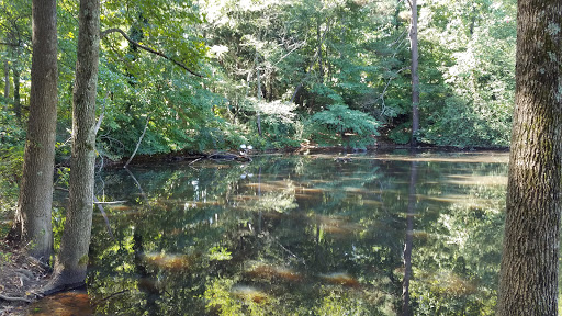 Performing Arts Theater «Chastain Park Amphitheatre», reviews and photos, 4469 Stella Dr NW, Atlanta, GA 30342, USA