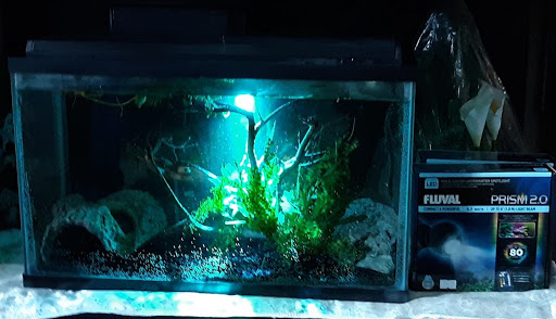 Pet Supply Store «Over Bridge Pet Supplies», reviews and photos, 24 Seneca St, Hornell, NY 14843, USA