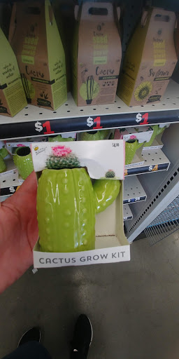 Variety Store «Five Below», reviews and photos, 1255 Raritan Rd, Clark, NJ 07066, USA