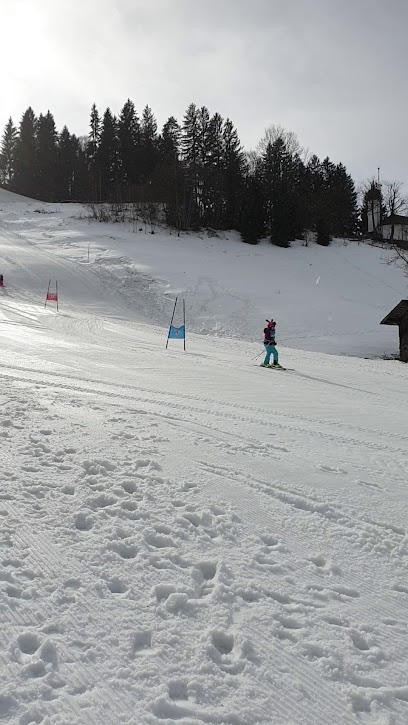 Skischule Ellmau-Hartkaiser