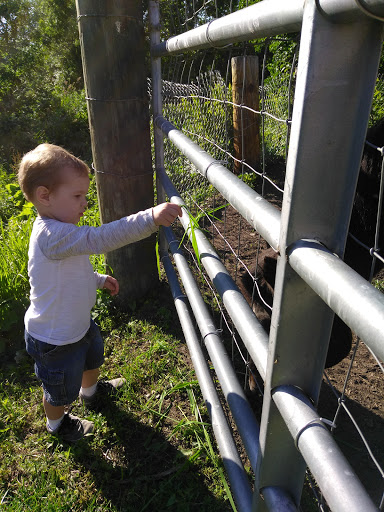 Farm «B & B Flower Farm», reviews and photos, 668 Jones Hill Rd, West Haven, CT 06516, USA