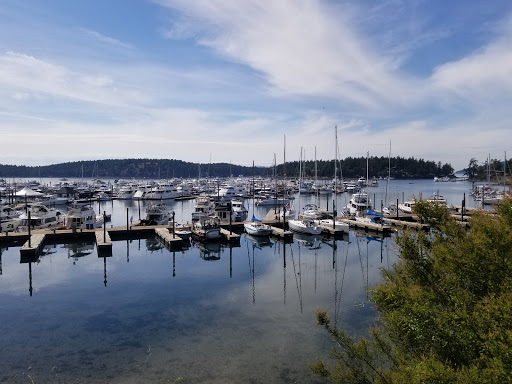 Grocery Store «Roche Harbor Grocery Store», reviews and photos, 248 Reuben Memorial Dr, Friday Harbor, WA 98250, USA