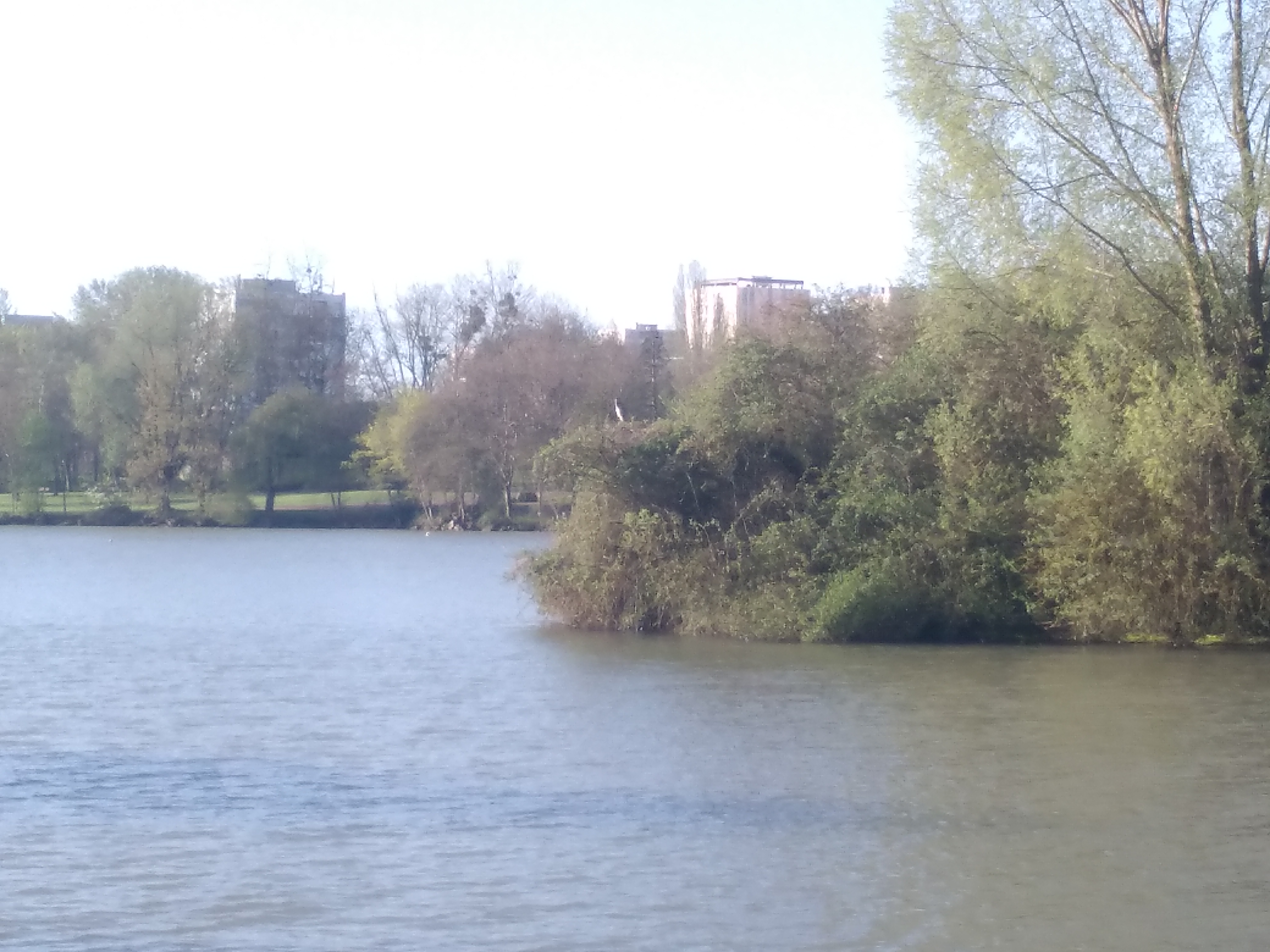 Photo n° 1 de l'avis de Yohan.l fait le 17/04/2018 à 08:35