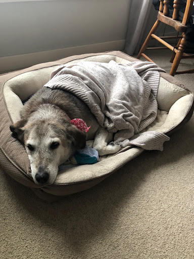 1650 S W Bay Shore Dr, Suttons Bay, MI 49682, USA