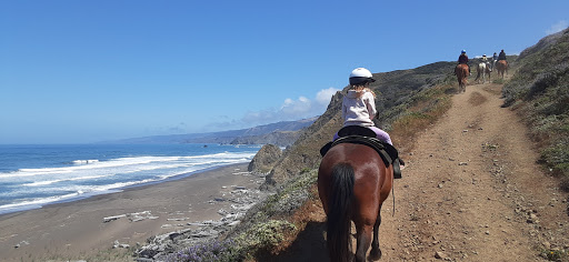 Stable «Ross Ranch», reviews and photos, 28300 Philo Greenwood Rd, Elk, CA 95432, USA