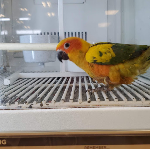 Pet Supply Store «Petco Animal Supplies», reviews and photos, 1100 Middle Country Rd, Selden, NY 11784, USA