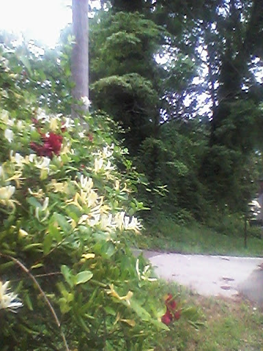 Recreation Center «Wolfe Adult Recreation Center And Pool», reviews and photos, 884 Church St, Smyrna, GA 30080, USA