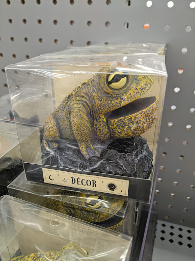 Department Store «Walmart Supercenter», reviews and photos, 1300 Desplaines Ave, Forest Park, IL 60130, USA