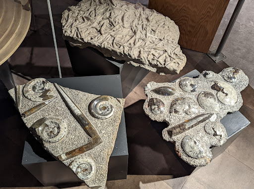 Science Museum «Asheville Museum of Science», reviews and photos, 43 Patton Ave, Asheville, NC 28801, USA