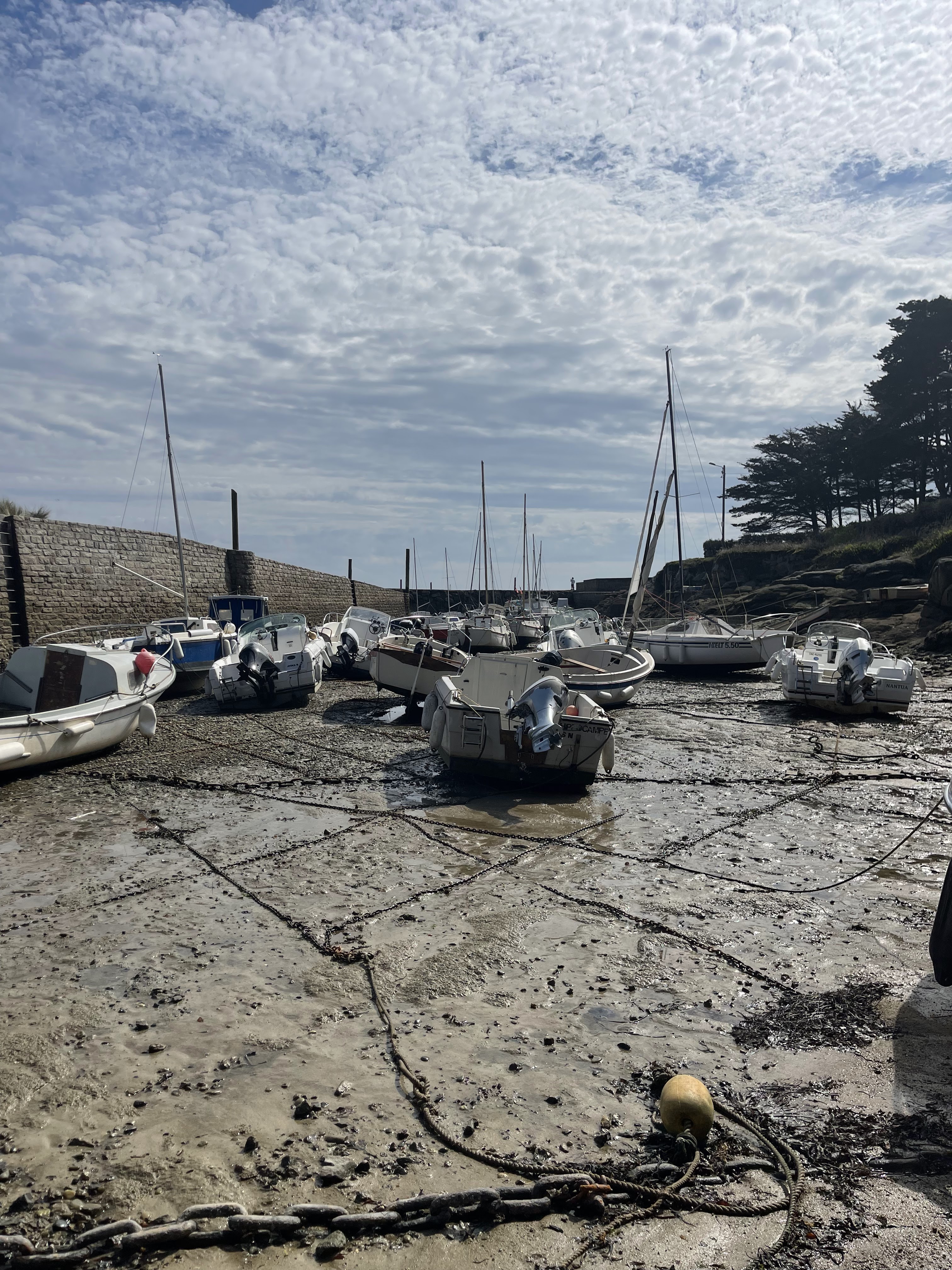 Photo n° 3 de l'avis de Bernard.e fait le 18/09/2023 à 20:16