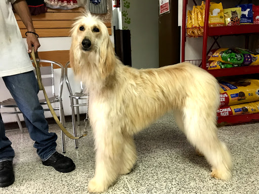 Centro Veterinario Terra Canis