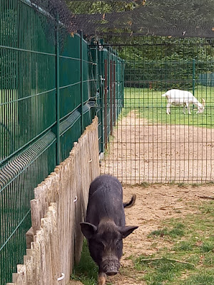 Parc de la Sauvagerie à Varennes-sur-Seine