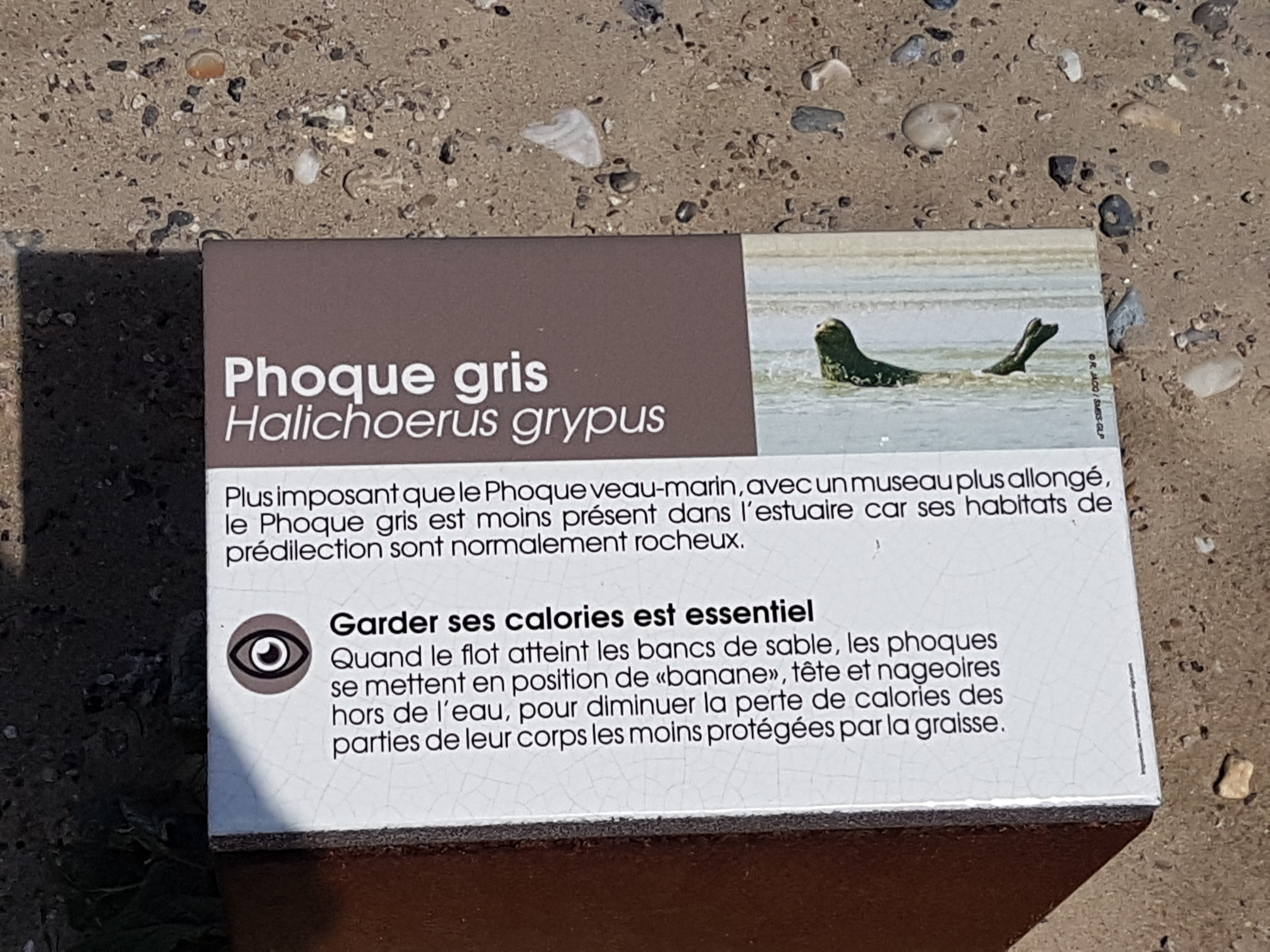 Photo n° 1 de l'avis de Christophe.a fait le 04/05/2019 à 14:33