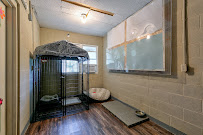 Pine Lake Dog Boarding, LLC. - Photo 4 - Car repair in Morton, IL, Peoria