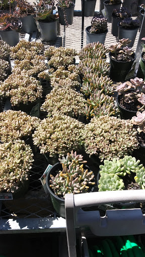 Home Improvement Store «The Home Depot», reviews and photos, 2805 US-98, Lakeland, FL 33805, USA